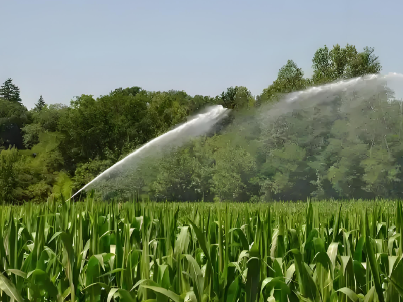 Guiding Opinions on Corn Scientific Irrigation Technology