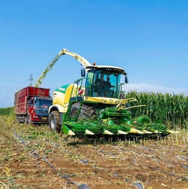 Silage Harvester and Cellar Pressing Full Process Demonstration Seminar