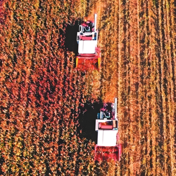 High Quality Miscellaneous Grains are Fully Mechanized