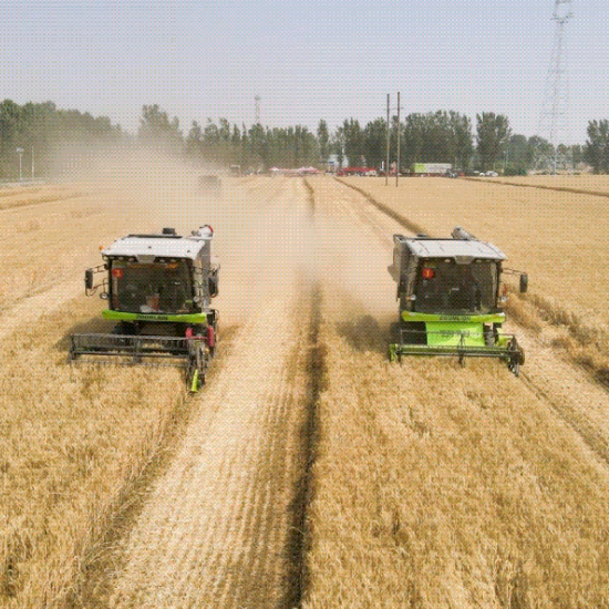 The Wheat Combine Harvest Battle is in Full Swing