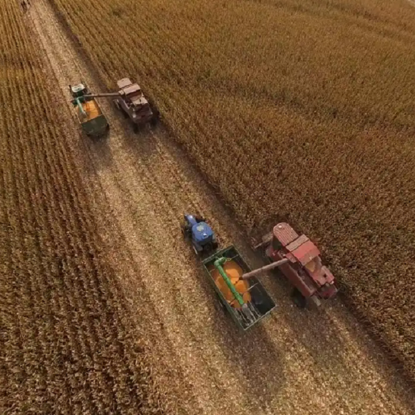 Technology Empowers Combine Harvester To Reduce Losses