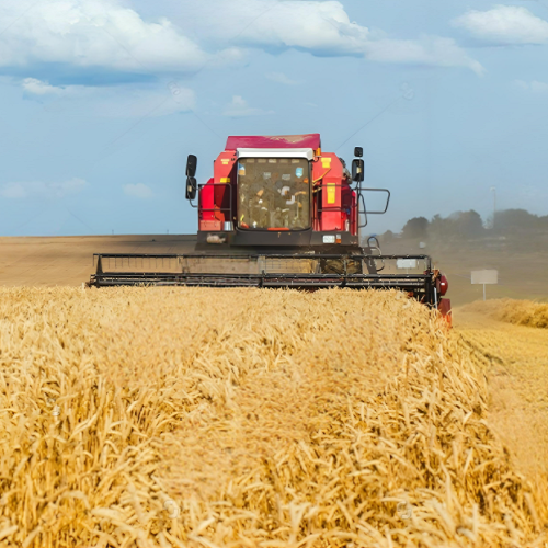 Monitoring of Wheat Combine Harvest Loss Reduction