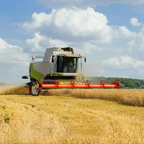 Tianjin 2025 Wheat Harvest Successfully Concluded