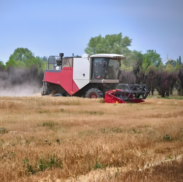 Fotma Harvesters Shine as Efficient Solutions for Modern Crop Harvesting