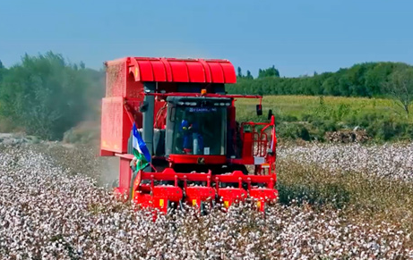 Four Rows Box Type Cotton Combine Harvester