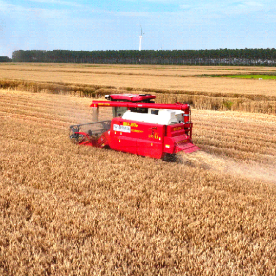 Wheat Combine Harvest and Loss Reduction Technology