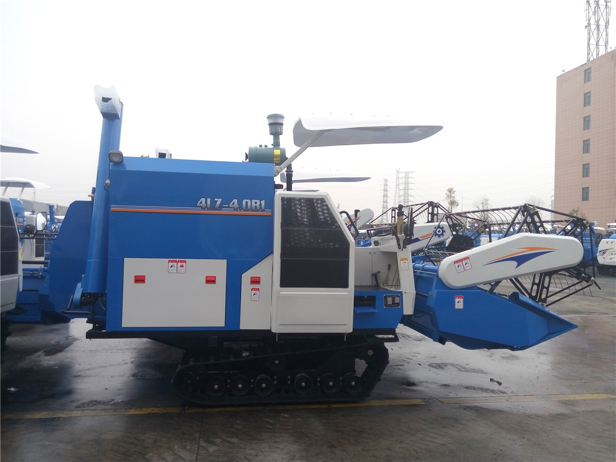 Autumn Harvest Season, A Bountiful Harvest is in Sight