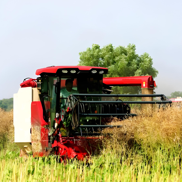 Smart Rapeseed Harvesters Drive Efficiency, Cutting Losses as Global Production Hits New High