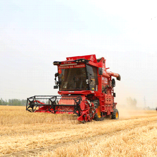 Weichai Lovol Harvester Leads Three Summers with Intelligence