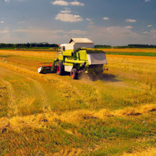 The Summer Harvest and Planting Work has been Fully Completed