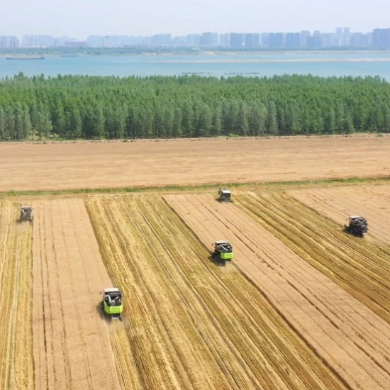 Wheat Combine HarvesterTeam's First Battle in Hubei